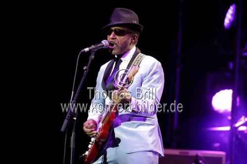 Die Musical-Hommage an Tina Turner 