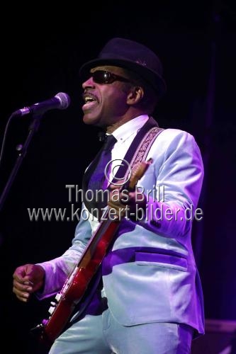 Die Musical-Hommage an Tina Turner 