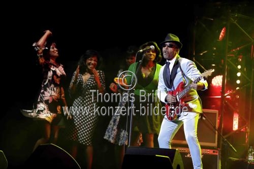 Die Musical-Hommage an Tina Turner 