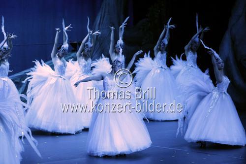 Swan Lake  Die Akrobatik-Sensation aus Asien gastiert  vom 11. bis 26. Oktober im Musical Dome Köln (© Thomas Brill)