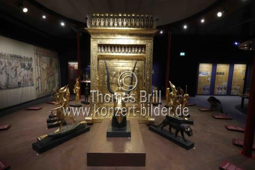 Die Ausstellung: 
