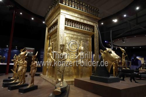 Die Ausstellung: 