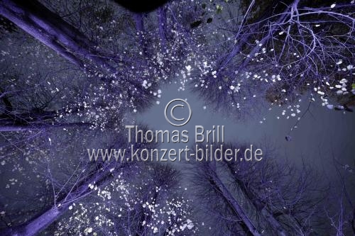 Die Weihnachts Wunderwelt im Schlosspark Schloss Benrath läd mit einigen Lichtilluminationen vom 16. November 2023 bis zum 01. Januar 2024 zu Spaziergängen durch den Lichtergarten ein (&copy; Thomas Brill)