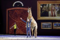 Pferdeshow APASSIONATA gastiert mit dem Programm "Die goldene Spur" vom 17. und 18. April 2015 in derLanxess-Arena Köln (© Thomas Brill)
