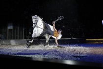 Pferdeshow APASSIONATA gastiert mit dem Programm "Die goldene Spur" vom 17. und 18. April 2015 in derLanxess-Arena Köln (© Thomas Brill)