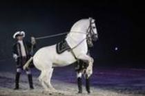 Pferdeshow APASSIONATA gastiert mit dem neuen Programm "Sehnsucht" vom 03. bis 05. April 2009 in derLanxess-Arena Köln (&copy; Thomas Brill)