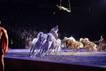 Europäische Pferdeshow CAVALLUNA gastiert mit ihrem Programm "Welt der Fantasie" am 06. und 07. April 2019 mit drei Shows in der Lanxess-Arena Köln (© Thomas Brill)