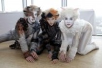 Österreichische Regisseur Peter Weck präsentiert das Musical Cats, das vom 22. September bis 28. Oktober 2012 in Köln gastieren wird (© Thomas Brill)