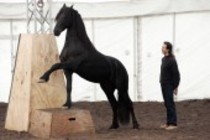 Französische Pferdetrainer Frédéric Pignon und Magali Delgado gastieren mit ihrer Show "Cavalia" einer Reit-Extravaganza aus Kanada ab 11. Dezember 2007 am Mörsenbroicher Ei, Düsseldorf (© Thomas Brill)