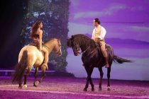 Europäische Pferdeshow CAVALLUNA gastiert mit ihrem Programm "Geheimnis der Ewigkeit" am 29. und 30. April 2023 mit drei Shows in der Lanxess-Arena Köln (© Thomas Brill)