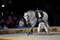 Europäische Pferdeshow CAVALLUNA gastiert mit ihrem Programm "Geheimnis der Ewigkeit" am 29. und 30. April 2023 mit drei Shows in der Lanxess-Arena Köln (© Thomas Brill)