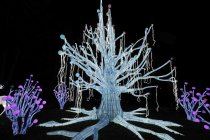 Winterlichtershow "China Light Festival" gastiert vom 15. Dezember 2022 bis zum 28. Januar 2024 im Kölner Zoo (© Thomas Brill)
