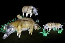 Winterlichtershow "China Light Festival" gastiert vom 15. Dezember 2022 bis zum 28. Januar 2024 im Kölner Zoo (© Thomas Brill)