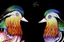 Winterlichtershow "China Light Festival" gastiert vom 15. Dezember 2022 bis zum 28. Januar 2024 im Kölner Zoo (© Thomas Brill)