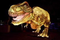 Winterlichtershow "China Light Festival" gastiert vom 15. Dezember 2022 bis zum 28. Januar 2024 im Kölner Zoo (© Thomas Brill)