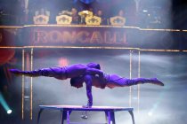 Circus Roncalli's "50 Jahre Roncalli"-Jubiläumstournee auf dem Neumarkt in Köln (&copy; Thomas Brill)