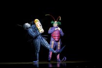 Kanadischer Zirkus Cirque du Soleil gastiert mit seinem Programm "OVO" in der Lanxess-Arena Köln (© Thomas Brill)
