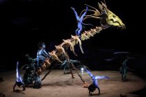 Kanadischer Zirkus Cirque du Soleil gastiert mit seinem Programm "TORUK - Der erste Flug" in der Lanxess-Arena Köln (© Thomas Brill)