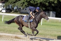 Jockey-Lehrgang des Förderverein zur Jockey Aus- und Weiterbildung e. V. auf der Rennbahn Köln-Weidenpesch (© Thomas Brill)