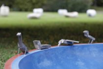 Ausstellung "KölnSkulptur #9: La Fin de Babylone" gastiert vom 15. Oktober 2017 bis Oktober 2019 im Skulpturenpark Köln, Riehler Straße, 50668 Köln (© Thomas Brill)