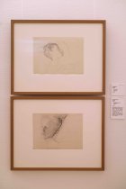 Die Ausstellung "Der Ausdruck der Augen vergrübelt und fern - Käthe Kollwitz – Porträts im Fokus" gastiert vom 19. August – 26. September 2021 im Käthe Kollwitz Museum Köln (© Thomas Brill)