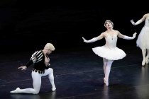 Amerikanische Männer-Ballettkompanie Les Ballets Trockadero de Monte Carlo gastiert im Rahmen des 35. Kölner Sommerfestivals vom 16. bis 21. Juli 2024 in der Kölner Philharmonie (© Thomas Brill)