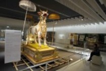 Das Rautenstrauch-Joest-Museum und das Museum Schnütgen wird am 23. Oktober 2010 eröffnet. (© )