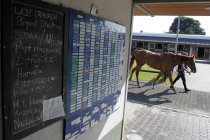 Jockey-Lehrgang des Förderverein zur Jockey Aus- und Weiterbildung e. V. auf der Rennbahn Köln-Weidenpesch (© Thomas Brill)