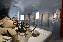 Römisch-Germanisches Museum zeigt Interimsausstellung im Belgischen Haus Köln (© Thomas Brill)