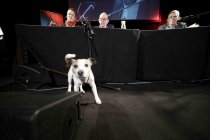 Das Journalisten-Ehepaar Christina Schenk und Denis Scheck und der deutsche Schauspieler Dietmar Bär und  sprechen "Der undogmatische Hund" im Rahmen der lit.Cologne 2022 in der Kulturkirche Köln (© Thomas Brill)