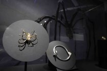 Die Ausstellung „Von Louise Bourgeois bis Yoko Ono. Schmuck von Künstlerinnen“ gastiert vom 20. November 2025 bis 26. April 2026 im Museum für Angewante Kunst in Köln (&copy; Thomas Brill)