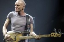 Britische Rock-Sänger Sting gastiert auf seiner "Back To Bass"-Tour im E-Werk Köln (© Thomas Brill)