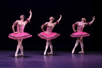 Amerikanische Männer-Ballettkompanie Les Ballets Trockadero de Monte Carlo gastiert im Rahmen des 26. Kölner Sommerfestivals vom 30. Juli bis 04. August 2013 in der Philharmonie (© Thomas Brill)