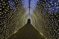 Die Weihnachts Wunderwelt im Schlosspark Schloss Benrath läd mit einigen Lichtilluminationen vom 16. November 2023 bis zum 01. Januar 2024 zu Spaziergängen durch den Lichtergarten ein (&copy; Thomas Brill)