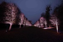 Die Weihnachts Wunderwelt im Schlosspark Schloss Benrath läd mit einigen Lichtilluminationen vom 16. November 2023 bis zum 01. Januar 2024 zu Spaziergängen durch den Lichtergarten ein (&copy; Thomas Brill)