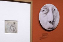 Die Ausstellung „Zeichnung im Labor – Papier trägt Kunst“ zeigt vom 10. November 2023 bis 18. Februar 2024 Meisterzeichnungen von Rubens oder Rembrandt unter dem Mikroskop im Wallraf-Richartz-Museum Köln (© Thomas Brill)